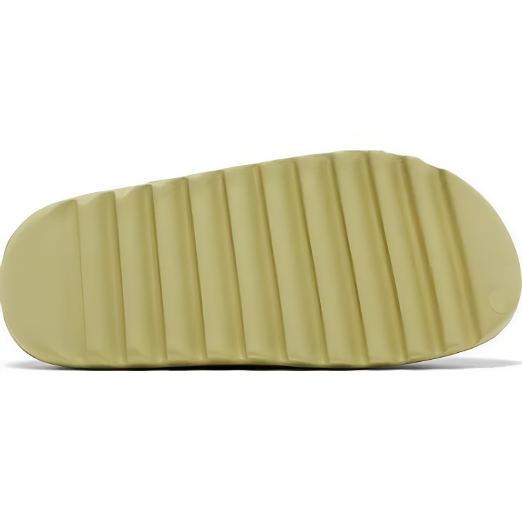 a close up of a sole